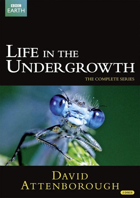 Life in the Undergrowth DVD 5枚セット Amazon.com: Life in