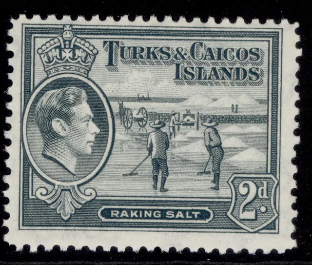 TURKS & CAICOS ISLANDS GVI SG198, 2d grey, NH MINT.
