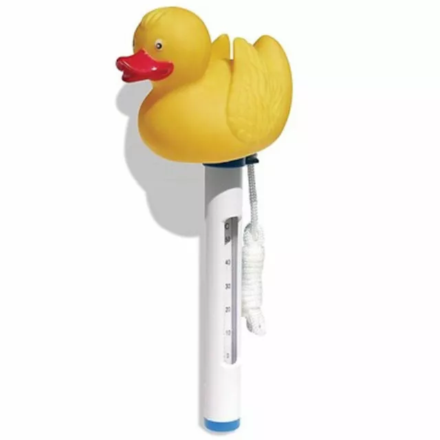 Floating Pond/Pool/Spa Novelty Thermometer