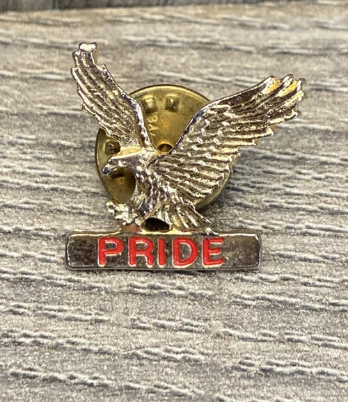 American Calva Águila Orgullo Esmalte Pin de Solapa