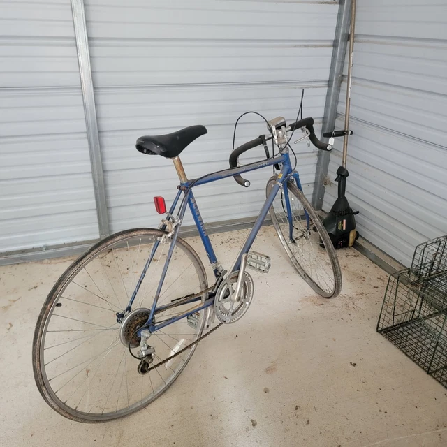 schwinn sprint 10 speed road bike