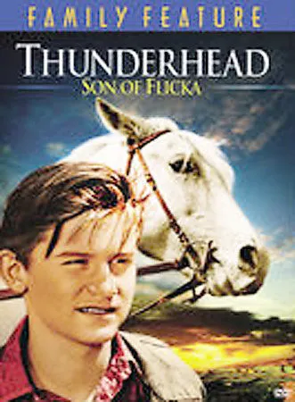 Thunderhead: Son of Flicka (DVD, 2005) Full Frame