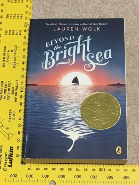 Beyond the Bright Sea by Lauren Wolk