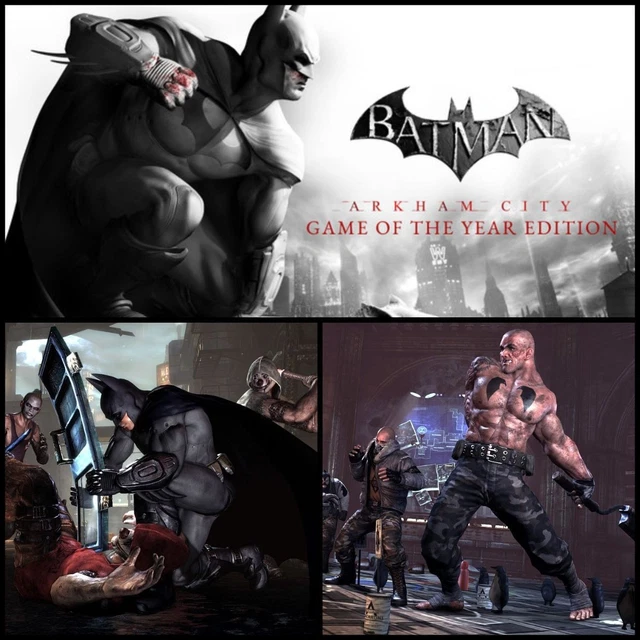 Batman Arkham City - Édition Game Of The Year Pour Mac - Version Française Avec Notice D'origine