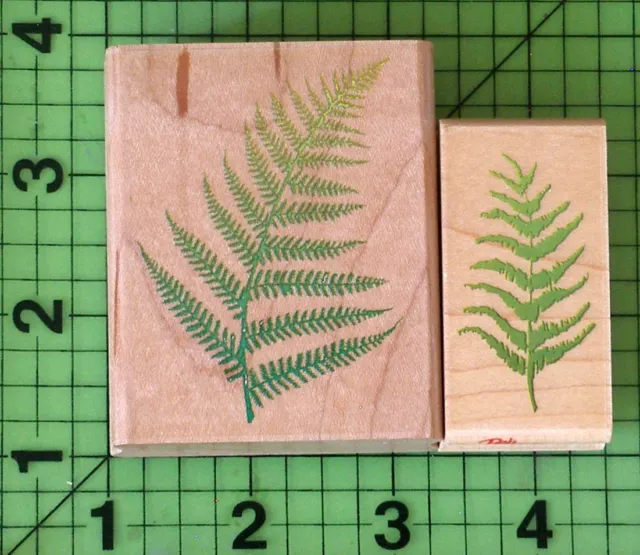 Monkey Paw Fern & Fern Frond Lot of 2 rubber stamps by Rubber Stampede