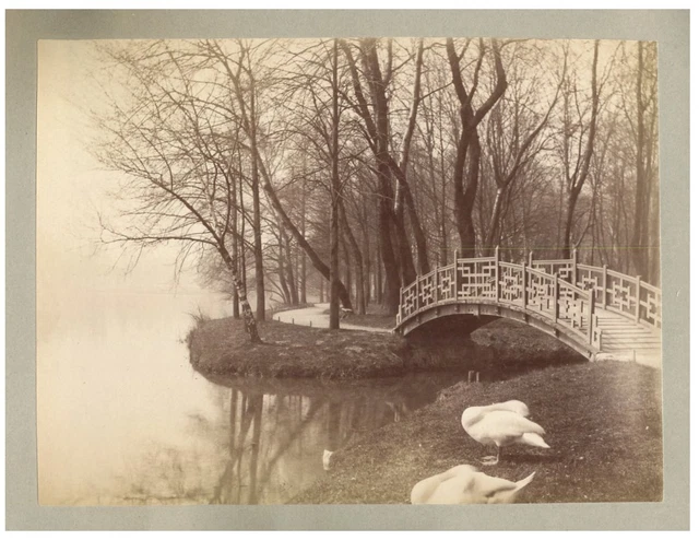 Tirage Photographique Albuminé Vintage De Lyon - Parc De La Tête D'Or, Circa 1880, 11x16 Cm