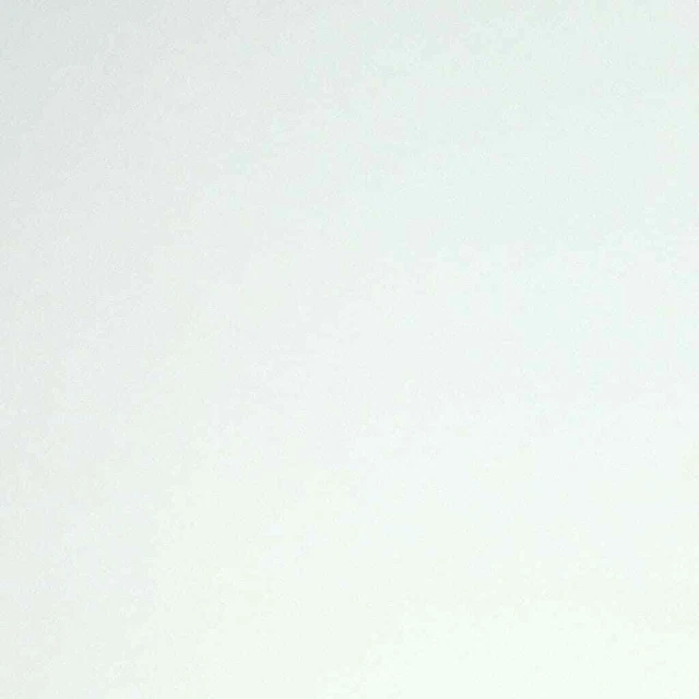 WALLCOVERINGS OLANDESE tessuto non tessuto verniciato bianco carta da parati non tessuto da ristrutturazione tessuto da pittura DUTC