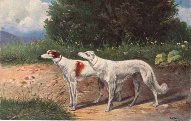 Antique Borzoi Russian Wolfhound Postcard German American Novelty Art Series