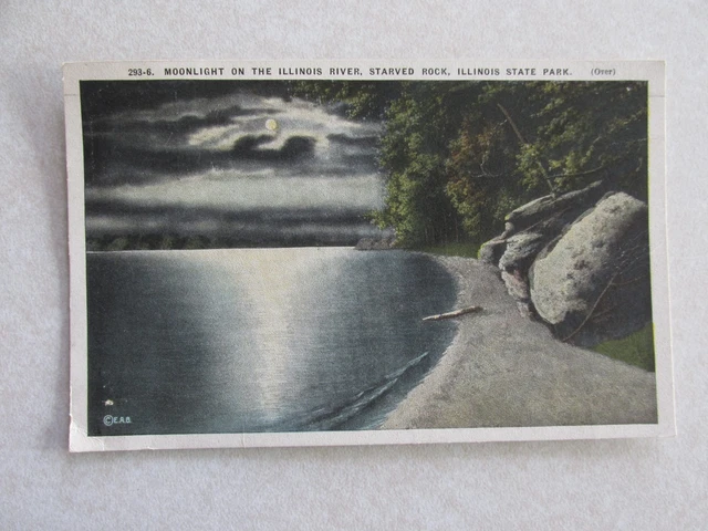 E262 Postcard Moonlight Illinois River Starved Rock State Park Ottawa IL