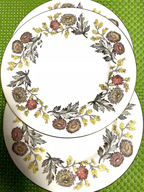Set of 3 Wedgwood Bone China Lichfield  dinner plate W4156 Made in England