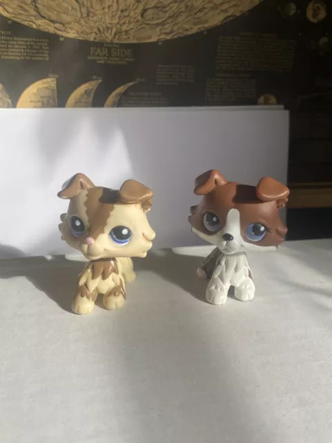 Littlest Pet Shop | LPS Authentisches Collie Hundepaket #2210 und Puzzle Collie Hund