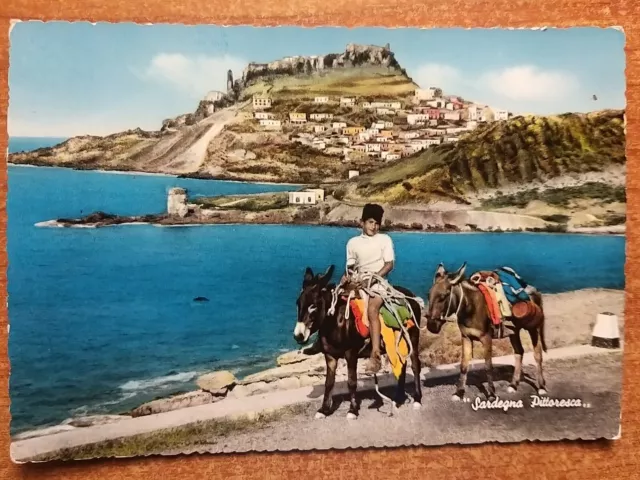 Castel Sardo (Sassari). Veduta - Asini -