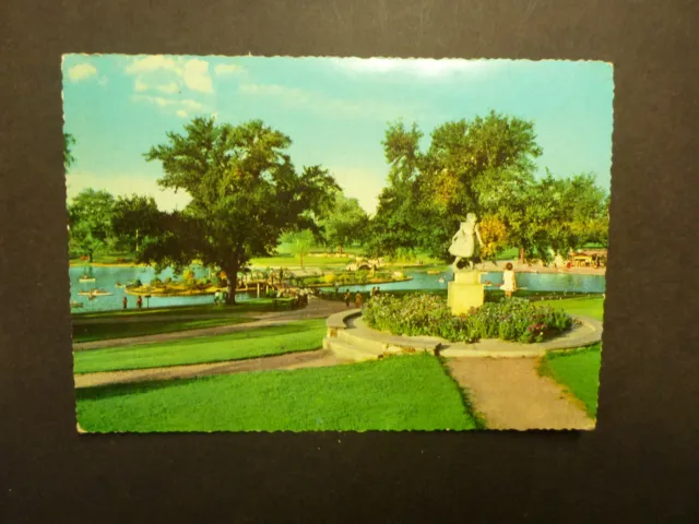Retro Australian Postcard- Rymill Park Adelaide, Sa