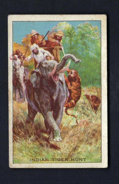 Thomson - Adventure Pictures - Indian Tiger Hunt
