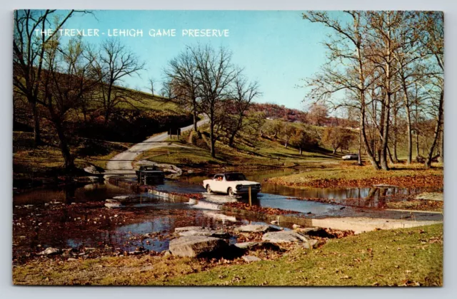 Trexler Lehigh Game Preserve, Old Cars, Scenic View VINTAGE Postcard