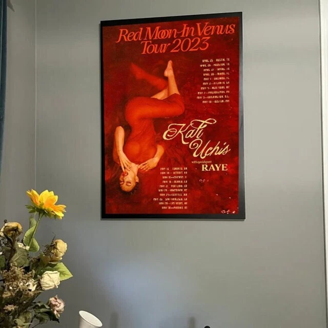 Red Hot Chili Peppers Syracuse NY Tour Poster, The Chili Peppers Band Poster