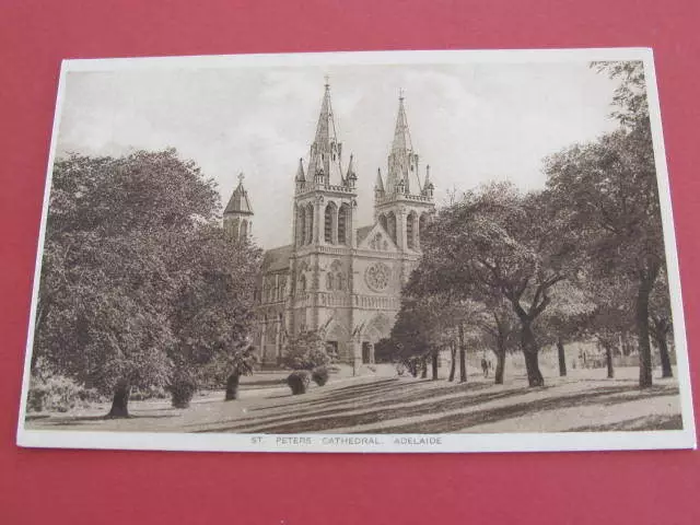St Peters Cathedral Adelaide South Australia Postcard