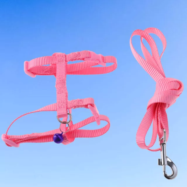 Puppy Cages Accessories for Small Dogs Rabbit Harness Leash