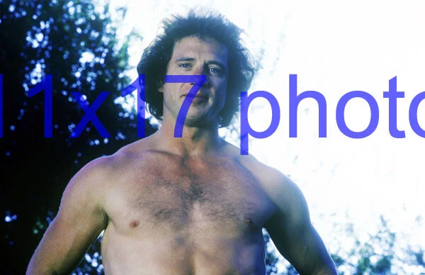 DUKES OF HAZZARD Tom Wopat Shirtless Muscular Pose Center Fold Color