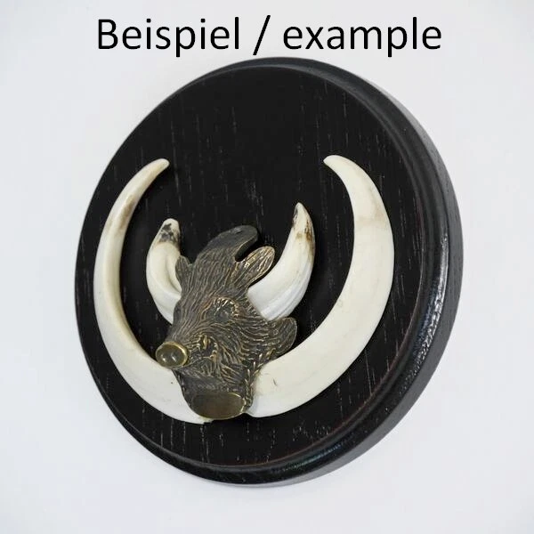 Placa de Jabalí Tablero Keiler Af 13 CM Escudo Trofeo Oscuro Pequeñas Cabeza 3