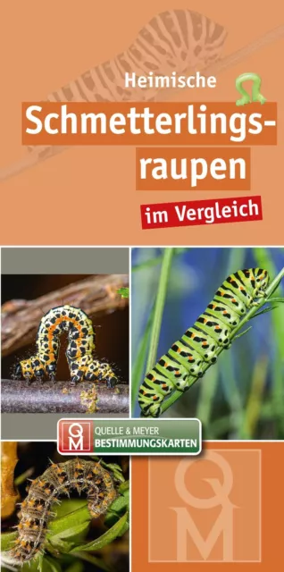 Heimische Schmetterlingsraupen im Vergleich | Quelle & Meyer Verlag | 10er-Set