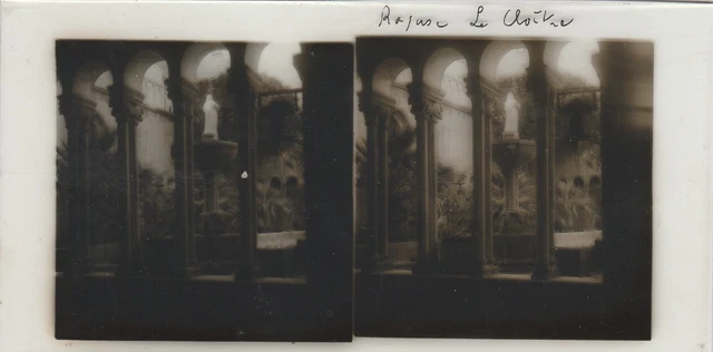Paysage Jardin c1920 Photo Plaque de verre Stereo Vintage P30L8n7