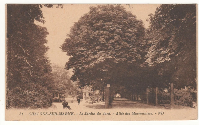 Cpa - Chalons-Sur-Marne (51) - Jardin Du Jard - Allée Des Marronniers - Écrite
