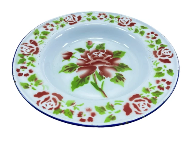 Lot De 6 Assiettes Anciennes Thomas Bavaria - Porcelaine Floral Vintage - 20 Cm