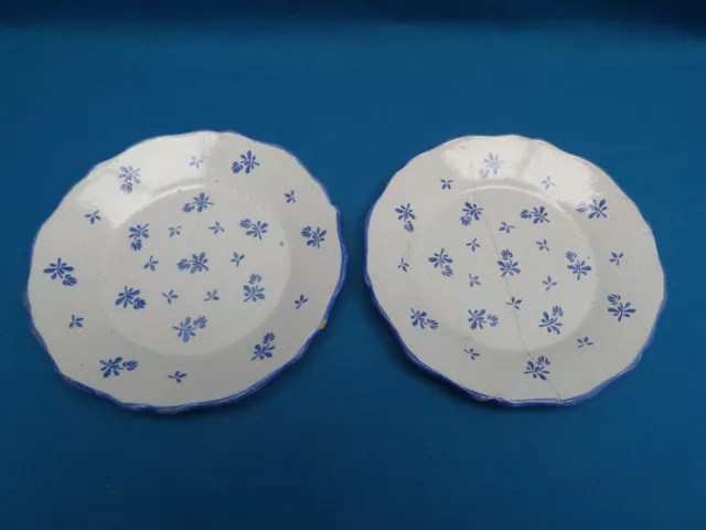 2 Anciennes Assiettes En Faience Xix° Decor De Brindilles