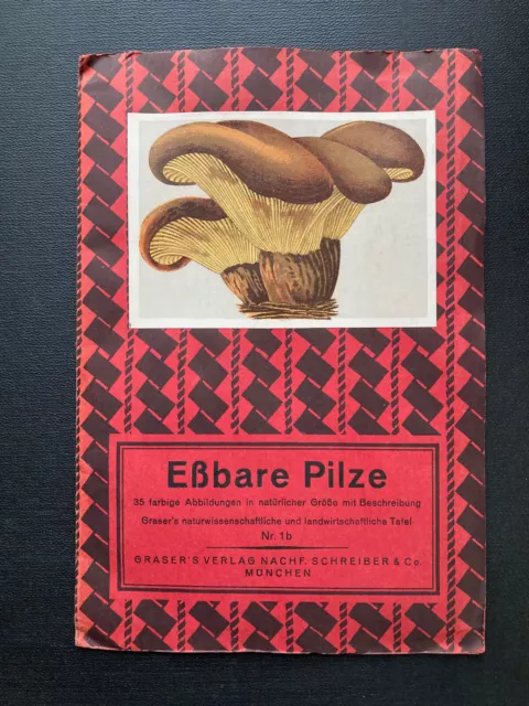 Falttafel "Eßbare Pilze" Tafel Nr 1b | Graser's Verlag München