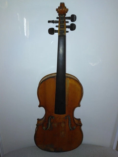 Ancien violon  ( carlo tononi )