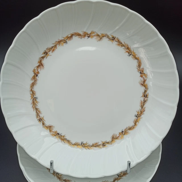 6 ASSIETTES CREUSES porcelaine de Limoges Haviland Modéle Chantilly EUR