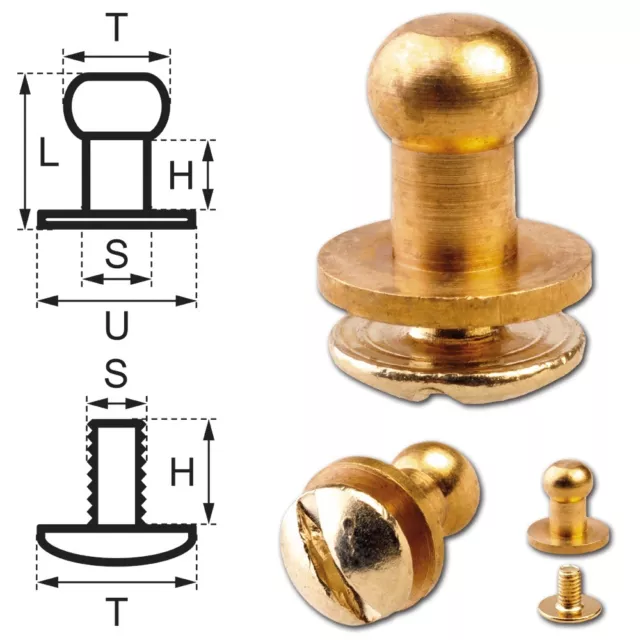 20 Knopfschraubnieten Patronentaschenverschluss 5mm messing-glänzend (gold)