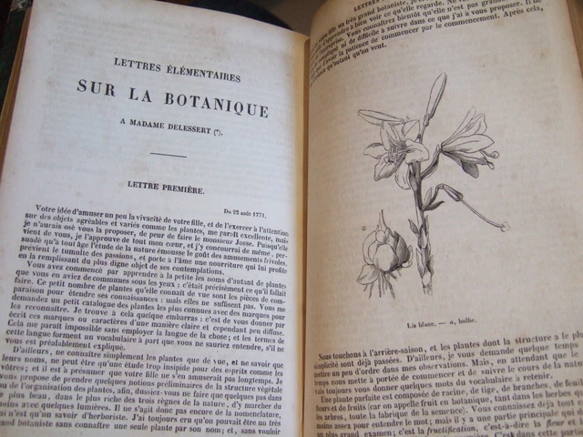 LOT LIVRES ANCIENS, 19?? ,1 volume, Le Corsaire Rouge, F. Cooper