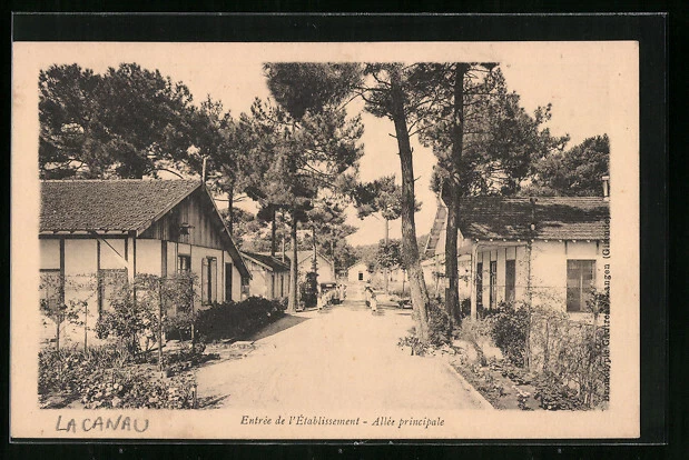 CPA Lacanau, Entree de l´Etablissement, Allee principale