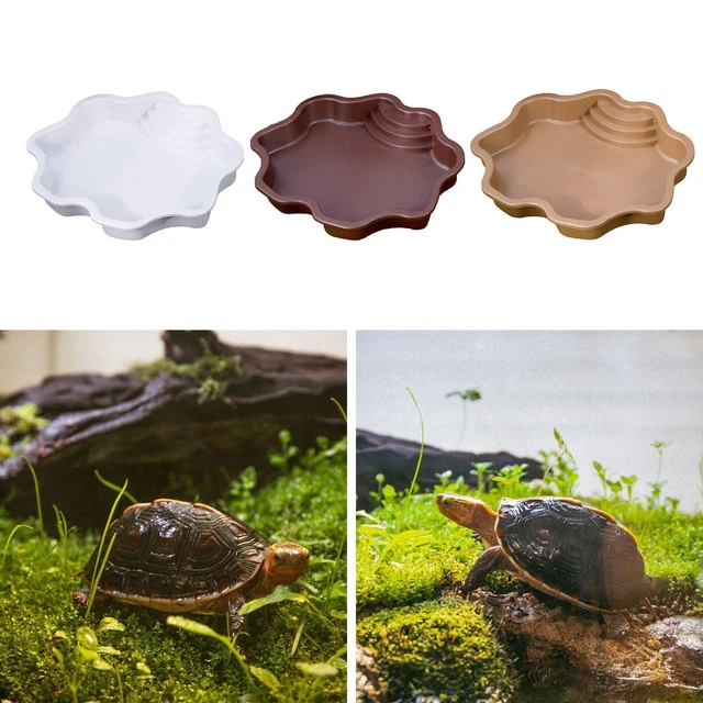 Plateforme pour Tortue, Plate Forme Flottante Reptile Tortue Aquarium