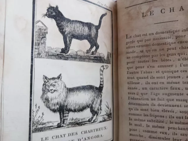 Buffon 1798 Histoire Naturelle Cheval Chien Chat Cochon 31 Gravures Pauquet