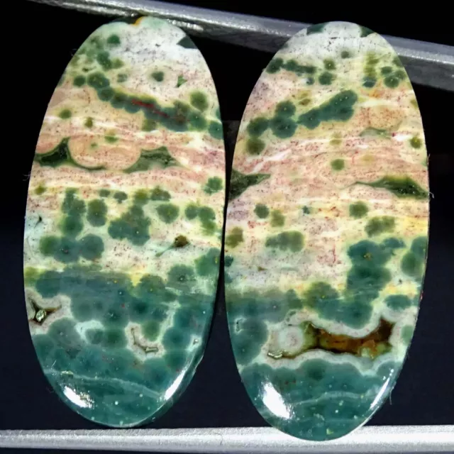 22.40Cts Natural Ocean Jasper Pair Oval Cabochon Loose Gemstones