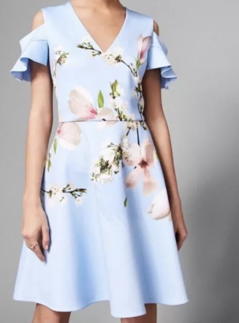 Ted baker primrose shop dress