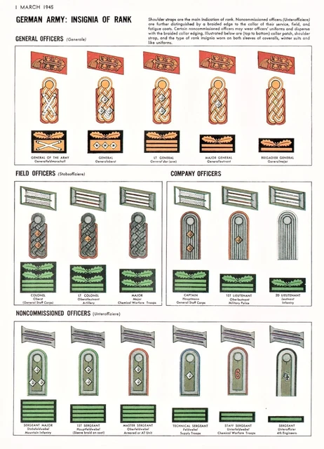 WW2 GERMAN ARMY military Rank Insignia uniform guide CANVAS PRINT world ...