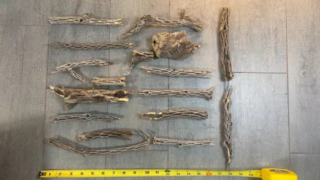17 Pieces Uniquely Shaped Cholla Wood For Shrimp Aquarium  / Fish Tank Décor