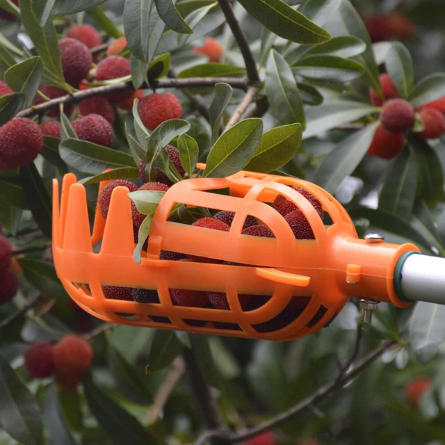 Fruits Picking Tool Greenhouse Apples Peaches Catcher Picker Basket