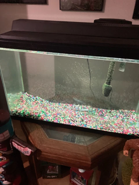 Complete 20 Gallon Fish Tank