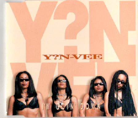 Y.N.V. - I'm Goin' Down - Used CD - P1256S