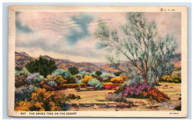 Smoke Tree on the Desert Vintage Linen Postcard Posted Tucson Arizona 1938