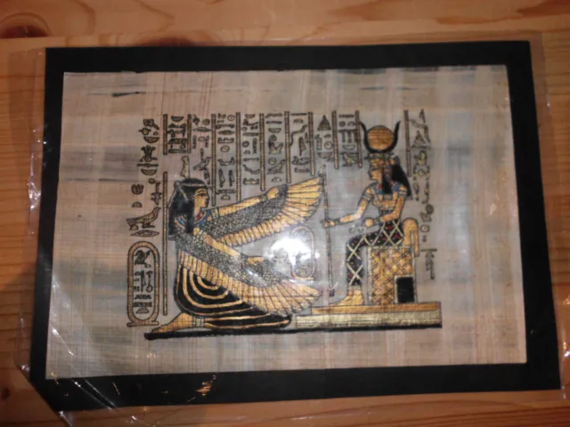 Ausschnitt Papyrus Hieroglyphen Ägypten Echtheitszertifikat ca. 18x12 cm