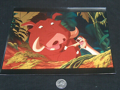 Agfa Il Re Leone Pumbaa E Timon 20.3X25.4cm Ristampa Colore Film Foto Su Agfa Ottimo 