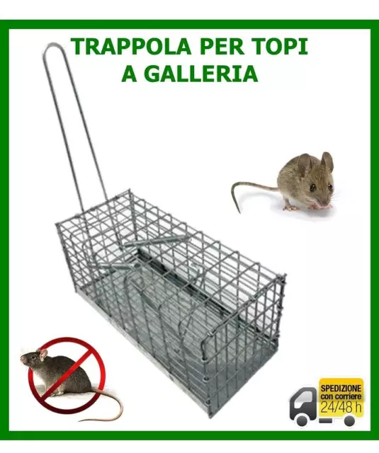 FIASON Trappola per topi viva Set di 2, cattura e rilascia topi vivi, trappola  per topi per piccoli roditori - per interni ed esterni con spazzola per la  pulizia (verde) : 