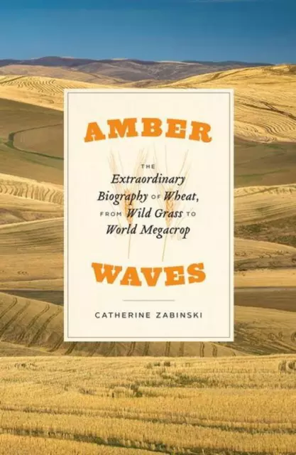 Catherine Zabinski | Amber Waves | Buch | Englisch (2020) | Gebunden