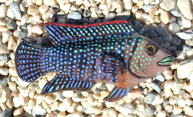 Hand Made Polymer Clay Blue Jack Dempsey Cichlid Fish Magnet
